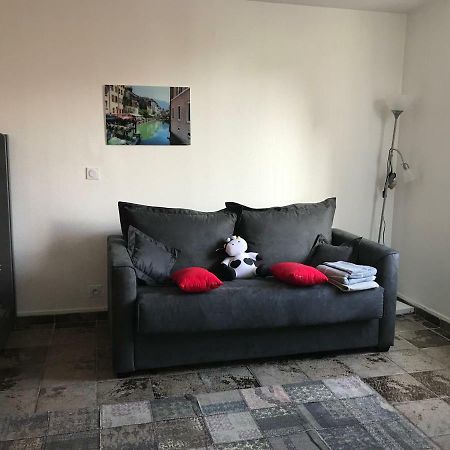 Apartament Studio Champagne Au Centre Ville Annecy Zewnętrze zdjęcie